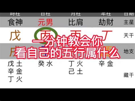 自己 五行 屬性|快速瞭解你的五行屬性